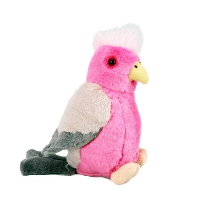 Bird with Sound Galah